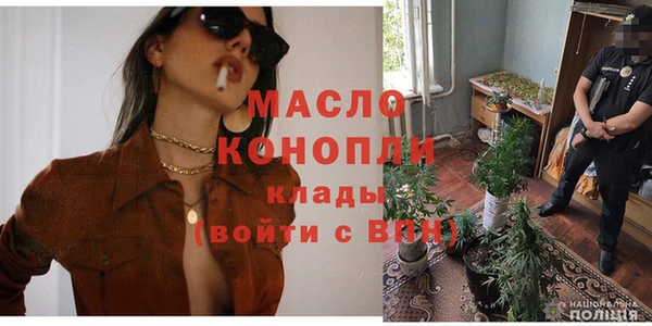 Альфа ПВП Горняк