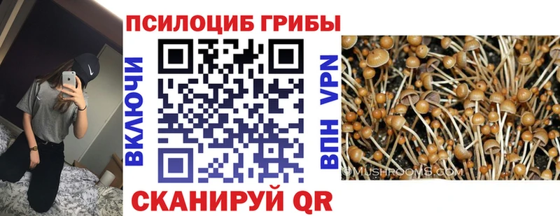 цены наркотик Нягань Галлюциногенные грибы мухоморы